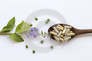 Tablets capsules extract from herbal for woman