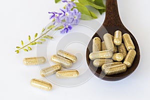 Tablets capsules extract from herbal for woman