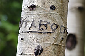 Taboo Aspen