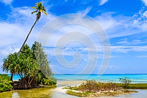 Tabuaeran, Fanning Island, Republic of Kiribati.