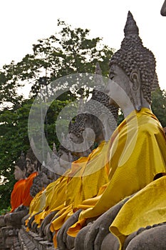 Tabulate of buddha statues photo