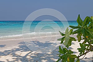 Tachai island beach beautiful clear sky thailand phuket