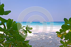 Tachai island beach plant boat sky