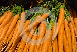 Tack of orange carrots in the supermarket