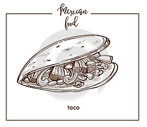 Taco sketch vector icon for Mexican cuisine food menu design