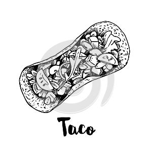 Taco top view. Sketch style hand drawn illustration of traditional mexican fast food. Best for restaurant menu and packaging desig