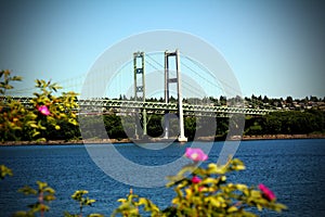Tacoma Narrows Bridge photo