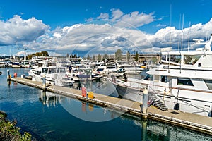 Tacoma Waterfront Marina 3