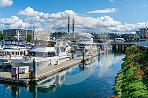 Tacoma Waterfront Marina 4