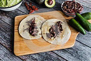 Tacos de chapulines or grasshopper taco traditional in mexican food with homemade guacamole sauce in Oaxaca Mexico