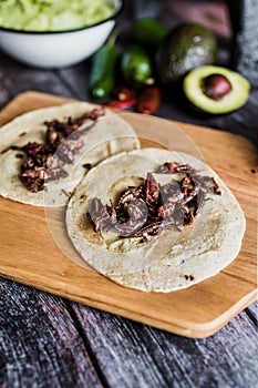 Tacos de chapulines or grasshopper taco traditional in mexican food with homemade guacamole sauce in Oaxaca Mexico