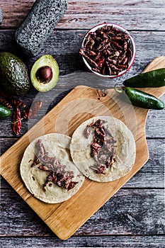 Tacos de chapulines or grasshopper taco traditional in mexican food with homemade guacamole sauce in Oaxaca Mexico