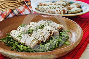 Tacos dorados, flautas de pollo, chicken tacos and spicy Salsa Homemade Mexican food in mexico