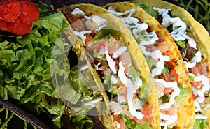 tacos typical mexican food, quesadillas with pepper salad, nachos and guacamole