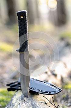 Tactical knife in forest. With blurred background. Survival tools. Toy for man