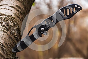 Tactical knife stuck in a tree stump in a forest