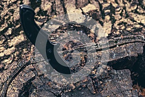 Tactical knife stuck in a tree stump in a forest