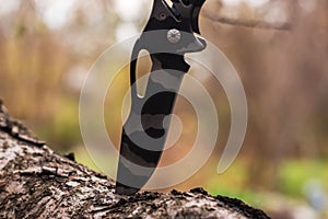 Tactical knife stuck in a tree stump in a forest