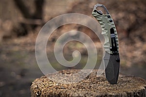 Tactical knife stuck in a tree stump in a forest
