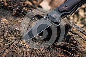 Tactical knife stuck in a tree stump in a forest