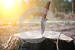 Tactical knife for survival and protection difficult conditions, stuck in the stump sawn tree in forest