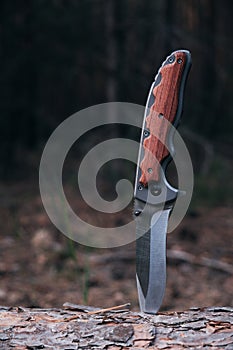 Tactical knife for survival and protection difficult conditions stuck into trunk tree in forest