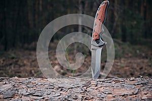 Tactical knife for survival and protection difficult conditions stuck into trunk tree in forest