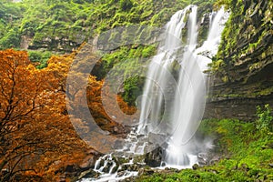 Tad TaKet waterfall, A big waterfall in deep forest at Bolaven plateau on autumn, Ban Nung Lung, Pakse, Laos photo