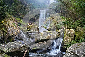 Tad Tiger Waterfall is a small waterfall in the area of â€‹â€‹ Boloven, Laos