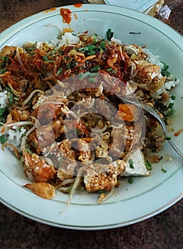 The taditional dish, nasi lengko
