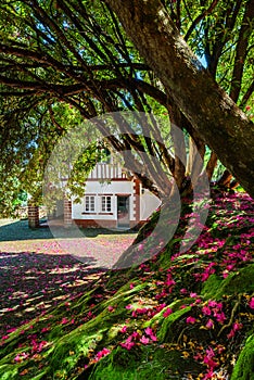 Taditional houses in Queimadas Forest Park in Santana, Madeira near Caldeirao Verde waterfall, Portugal