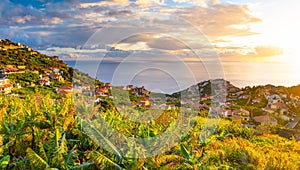 Taditional Madeira houses in Funchal behind a banana plantation and ocean sunset