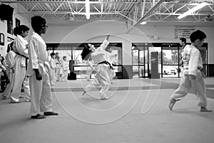 Tae Kwon Do / Korean Martial Arts