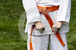 Tae Kwon Do photo