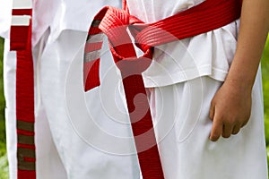 Tae Kwon Do photo