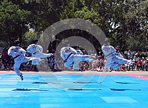 Tae Kwon Do / Taekwondo martial arts public demonstration at Rengstorff Park in Mountain View California in 2015