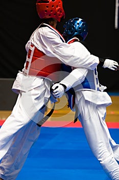 Taekwondo