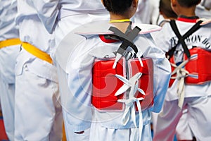 Taekwondo athlete in white uniform with armour