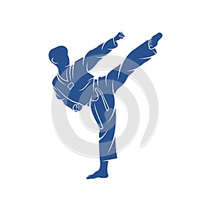 Taekwondo design vector illustration, Creative Taekwondo logo design concepts template, icon symbol