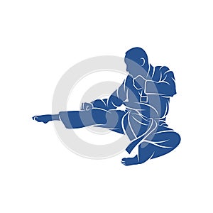 Taekwondo design vector illustration, Creative Taekwondo logo design concepts template, icon symbol