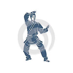 Taekwondo design vector illustration, Creative Taekwondo logo design concepts template, icon symbol