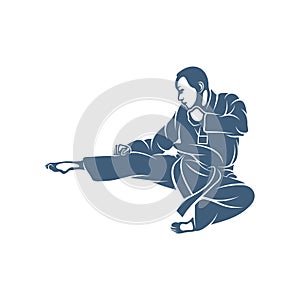 Taekwondo design vector illustration, Creative Taekwondo logo design concepts template, icon symbol