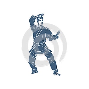 Taekwondo design vector illustration, Creative Taekwondo logo design concepts template, icon symbol photo