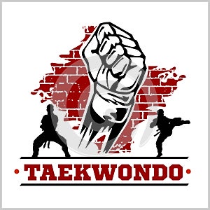 Taekwondo emblem - Taekwondo Logo Design Template. Vector Illustration