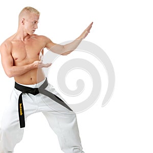 Taekwondo fighter