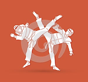 Taekwondo fighting competition