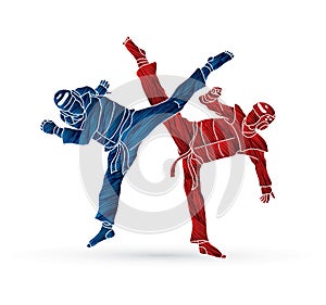 Taekwondo fighting competition photo