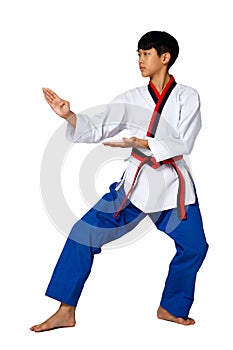 TaeKwonDo Karate Kid athlete young teenager show traditional Fighting