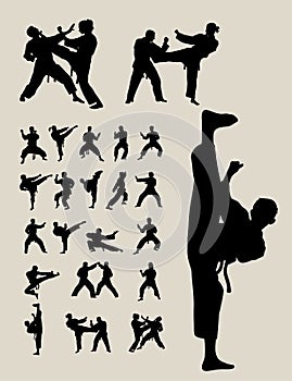 Taekwondo and Karate Silhouettes