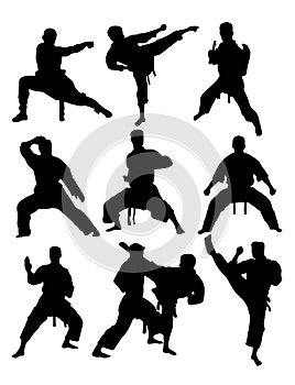 Taekwondo and Karate Silhouettes